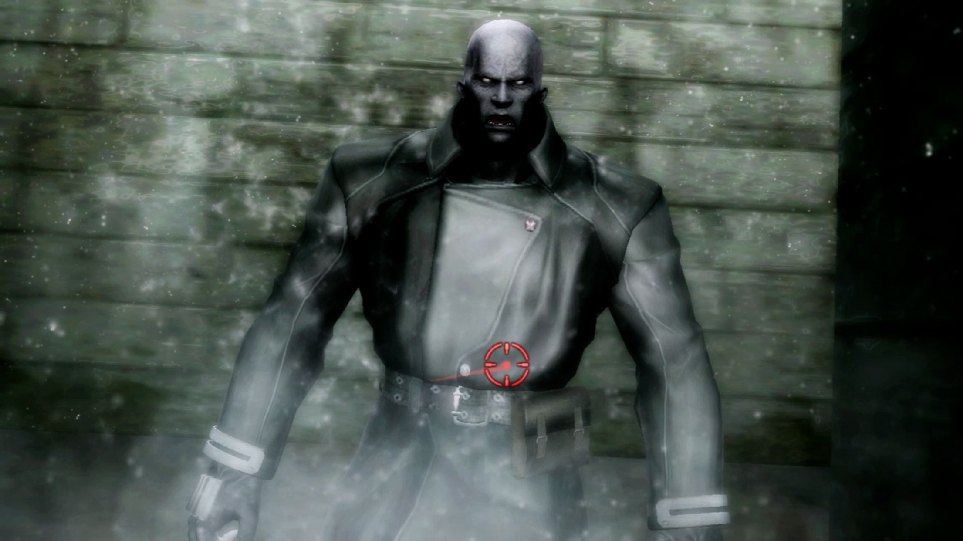 Resident Evil: The Darkside Chronicles